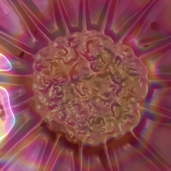 Glass dish - Picture 3 of 7